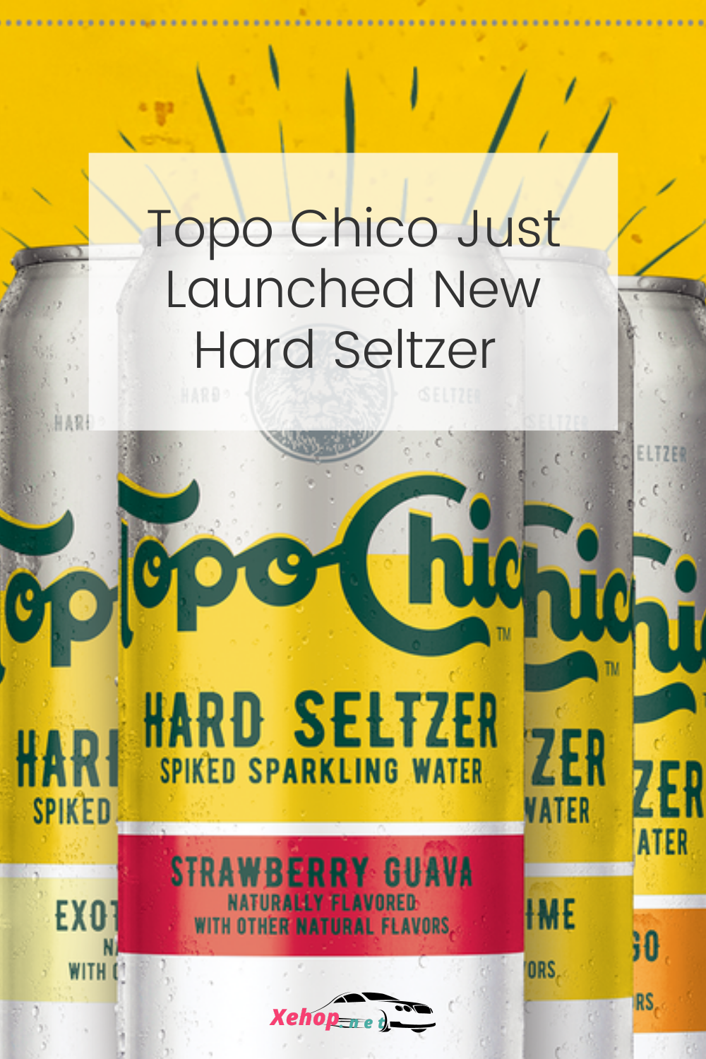 Topo Chico Hard Seltzer Strawberry Guava 12pk-12oz Btls